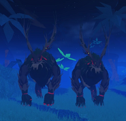 Gigantism (left) and normal (right) Goskogur
