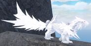 Albinism Sleirnok