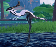 Juvenile Khiku