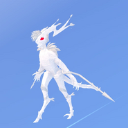 Albino Idrabark