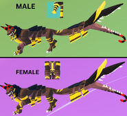 Dimorphism between male and female Vetemortem, previous model