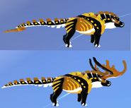 Creator Star female (above) and male (below) Therolachus