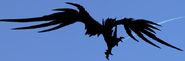 Shadow Zoltraack