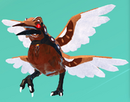 Old Smore male Kiiwin