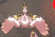 Shimmer Saukuryn, top view