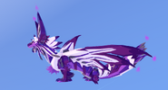Old Amethyst male Phyremia