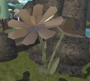 HarvestEvent2024Decor10.png (623 KB) Brown Flower decor during Drought