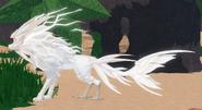 Leucistic Thundrake