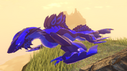 Sapphire female Zwevealisk
