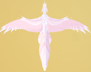 Pearl Erridea, top view