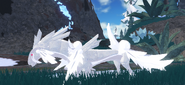 Old Albino male Sleirnok