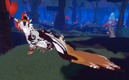 Piebald female Saukuryn
