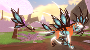 Shimmer male Gloracus