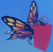 Momola's hitbox
