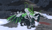 Clover female Aseliorus