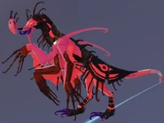 Previous dark heart Garra Warden, note the pinkish parts
