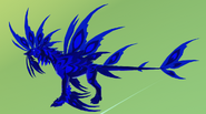 Sapphire male Gloracus
