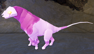 Juvenile Cottol