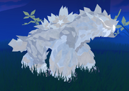 Leucistic female Koryser