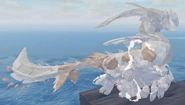 Leucistic Novus Warden