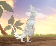 Leucistic male Prabiki