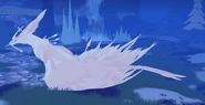 Pearl Banishii, night
