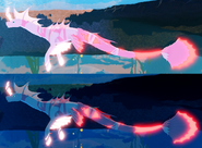 Old Glimmer male Koipise day/night