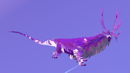 Previous Amethyst male Mufolium; note the grey areas
