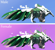Glow Tail + Glimmer Aseliorus