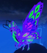 Bewitched Momola
