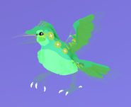 Old Ghosty female Kiiwin