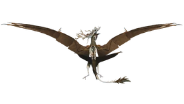 ♂