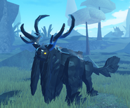 Melanistic Molangai