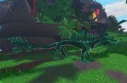 Old Emerald Magnarothus