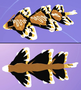 Creator Star Cupuere