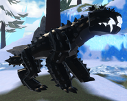 Old Melanistic female Koryser