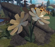 HarvestEvent2024Decor11.png (712 KB) Light Brown Flower decor during Drought