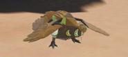 Kiiwin laying