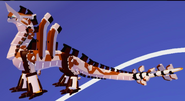 Piebald Oxidaizen