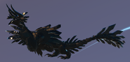 Melanistic Zethines