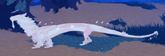 Pearl male Norskogg