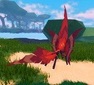 Juvenile Sha'Rei, back view