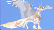 Leucistic female Erridea