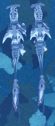 Gigantism Meorlark, top view