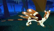Piebald Zoocuu, side view