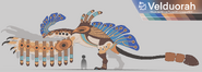 Veludorah concept art