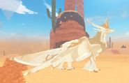 Leucistic male Erridea