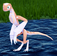Juvenile Prabiki, previous design