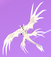 Leucistic Glovaucus, top view