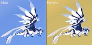 Shimmer + Glimmer Etheralotus